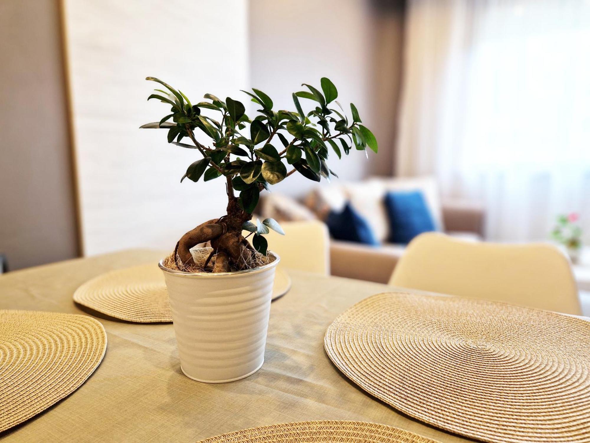 Central Apartment - Spacious Designer Property In Eski Zağra Dış mekan fotoğraf
